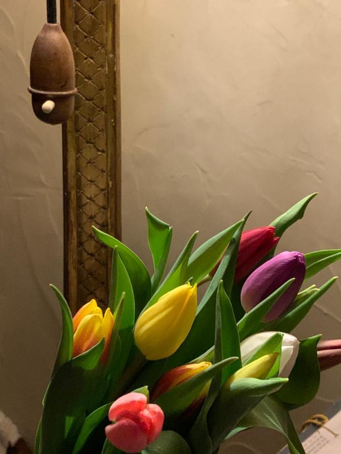 B&B Villa Thibault Liegi Esterno foto